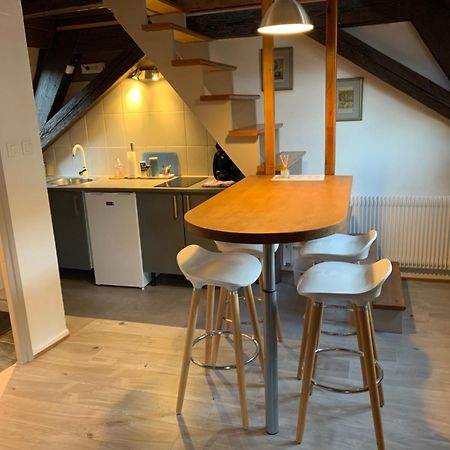 Appartement Duplex 2a Rue d'Alspach Colmar Extérieur photo